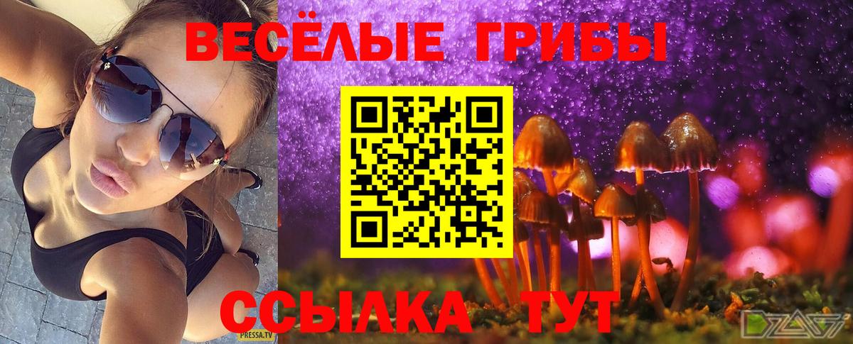 Галлюциногенные грибы Psilocybine cubensis Лесной